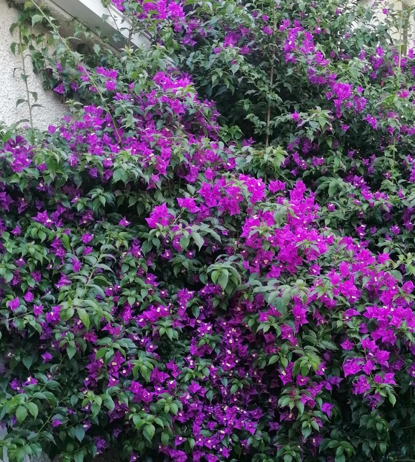 Tovo San Giacomo Casa Di Anna Bed & Breakfast エクステリア 写真