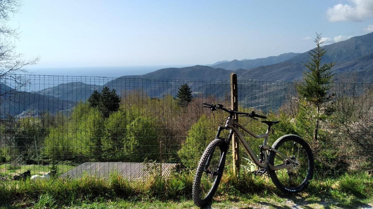Tovo San Giacomo Casa Di Anna Bed & Breakfast エクステリア 写真
